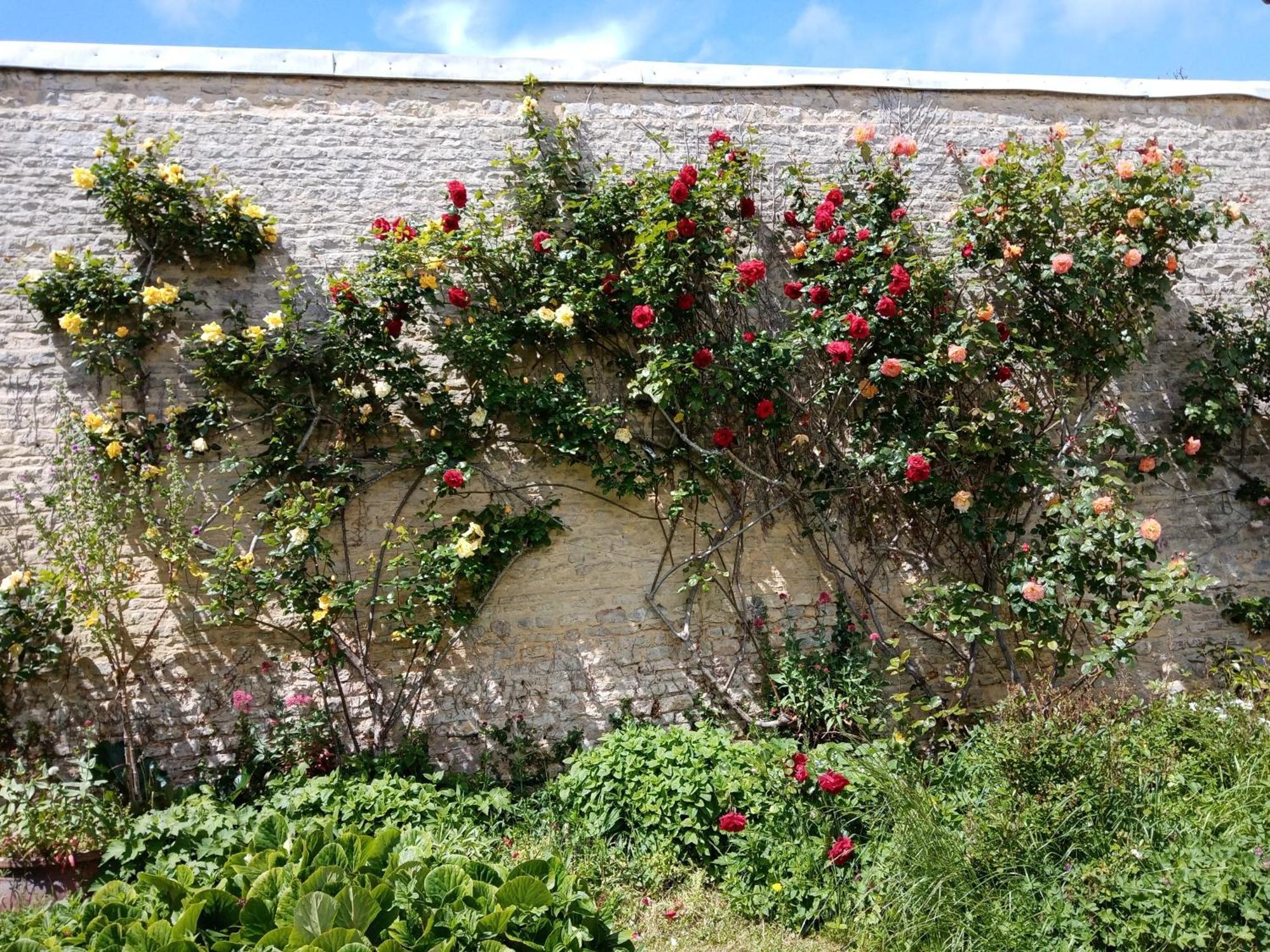 Bed and Breakfast Rose Garden Bayeux Exterior foto
