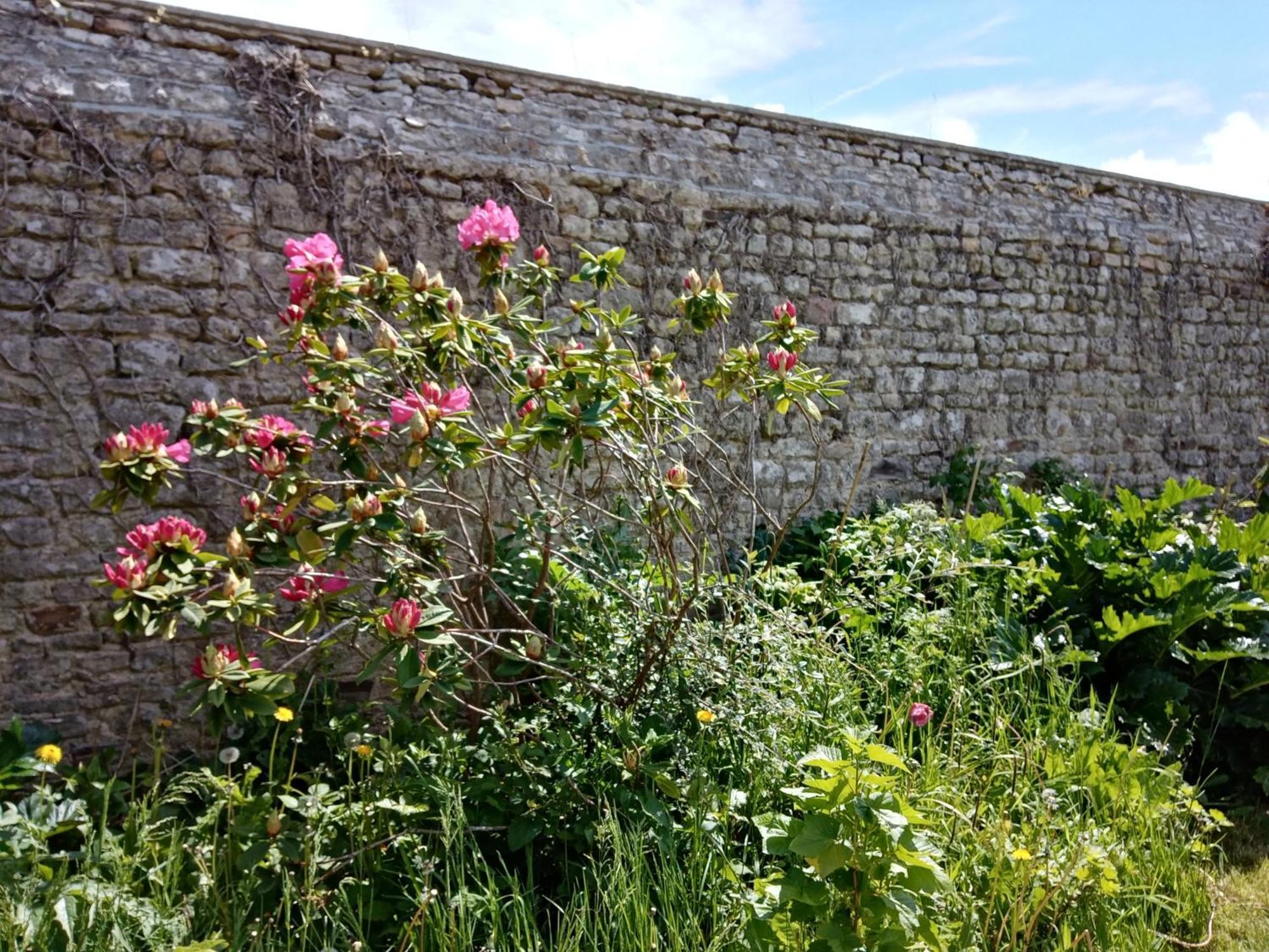 Bed and Breakfast Rose Garden Bayeux Exterior foto