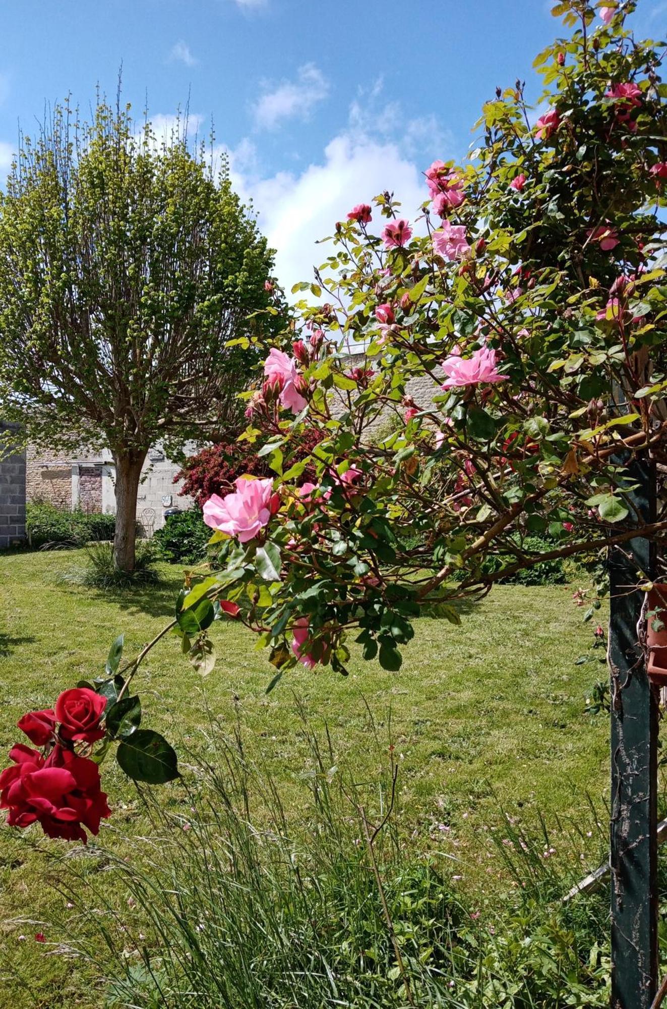 Bed and Breakfast Rose Garden Bayeux Exterior foto