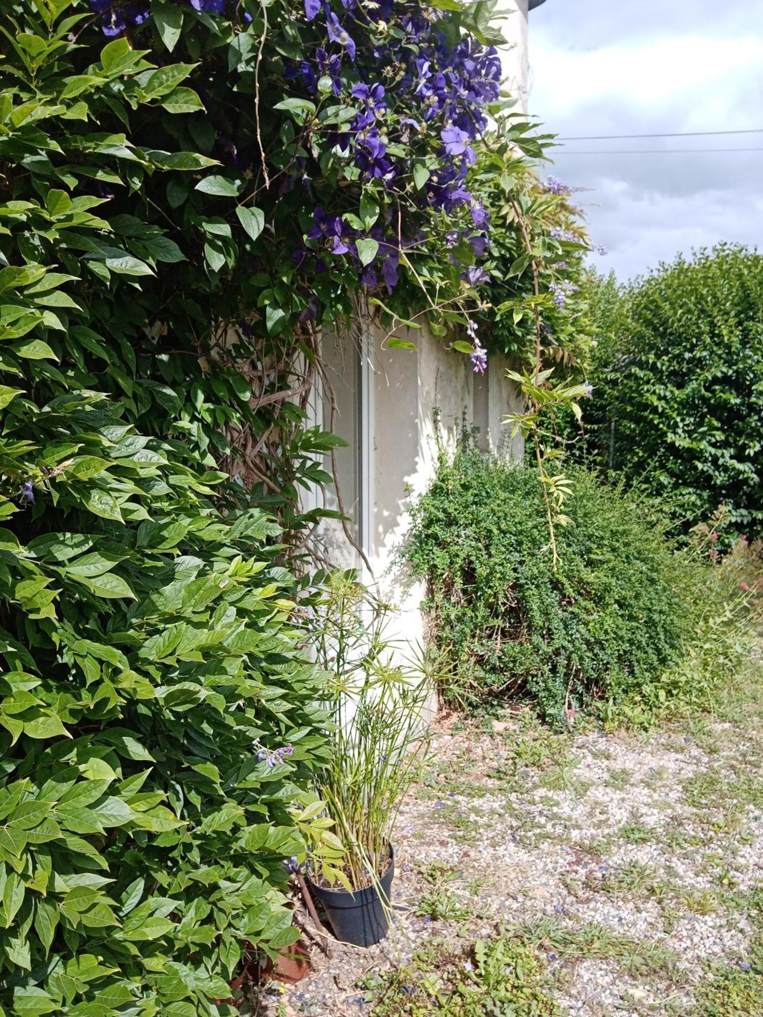 Bed and Breakfast Rose Garden Bayeux Exterior foto